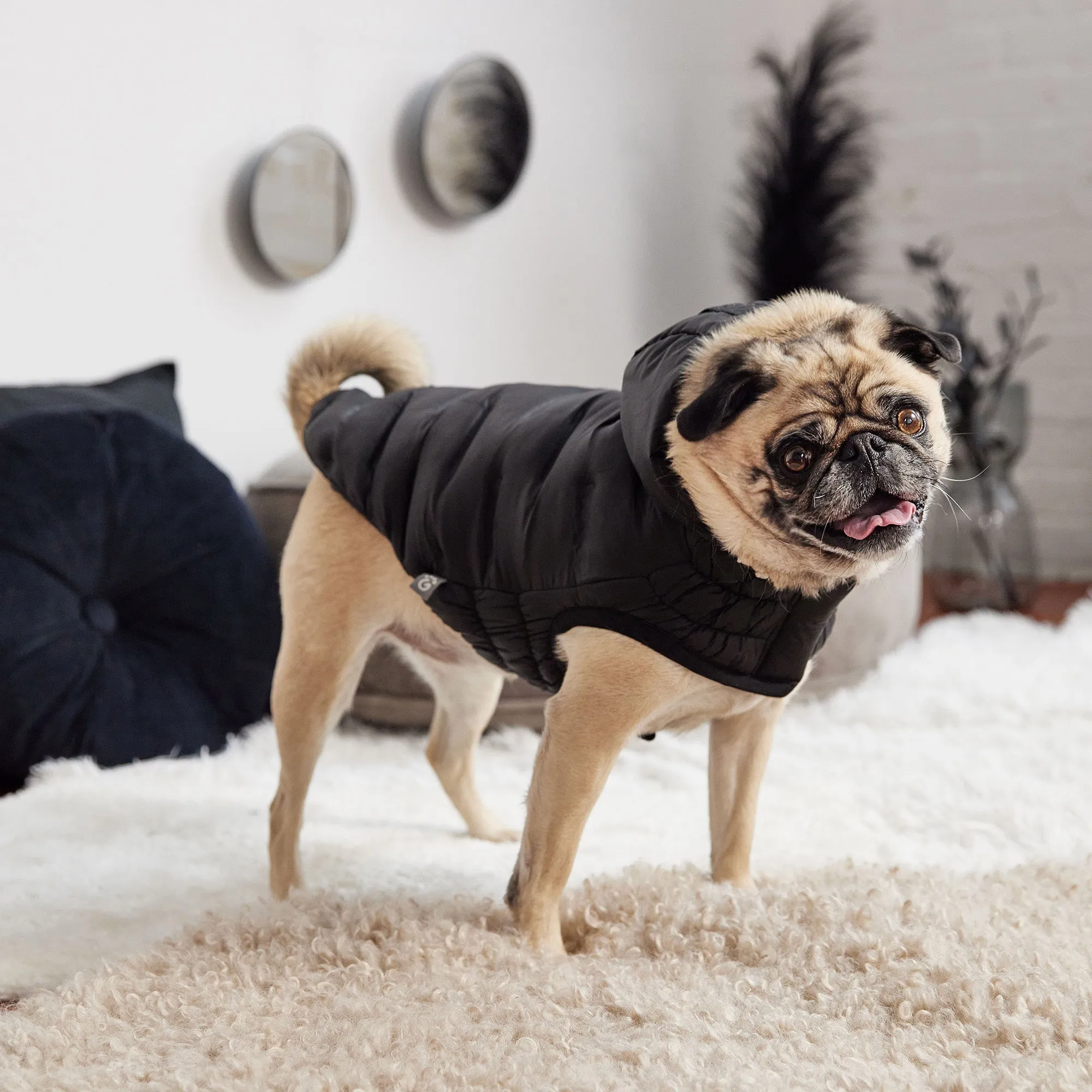 Cloud Dog Parka | Black